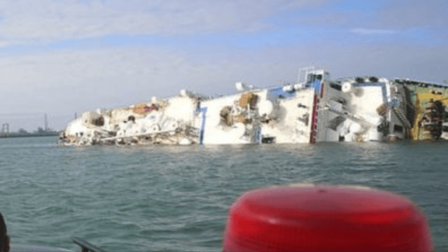 Ship carrying 14,600 sheep capsizes off Romanian coast