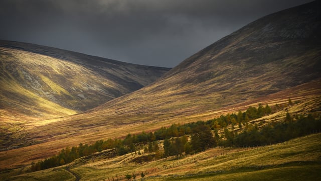 Grouse shooting report will mean ‘seismic’ changes for Scotland moors