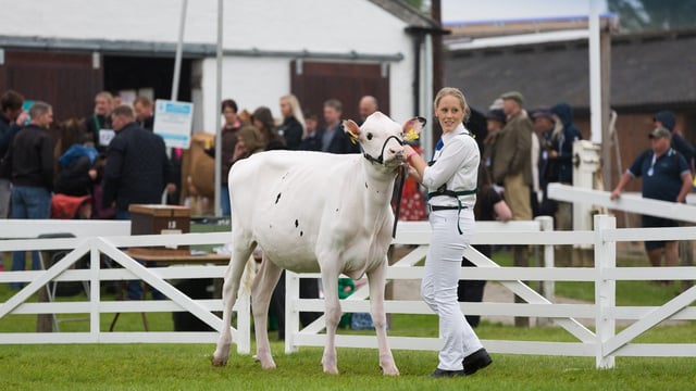 Finalists announced for 2019 Holstein UK President’s Medal