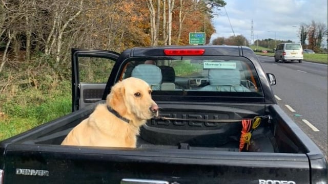 Driver with ‘insecure load’ in the doghouse with the law