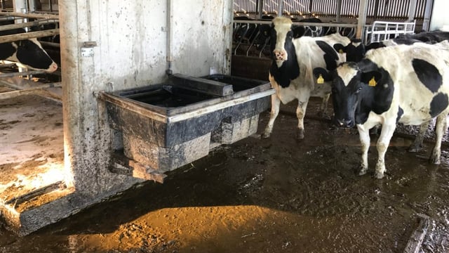 TFA welcomes clarity on Farming Rules for Water
