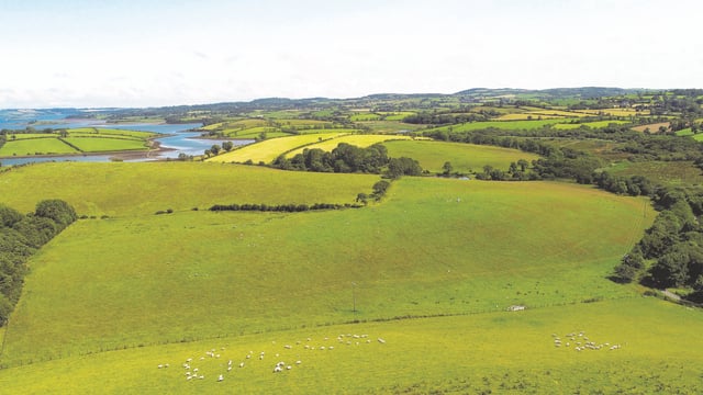 Successful first year for the Scottish Land Matching Service