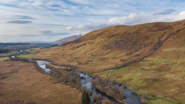 2,000ac for sale includes a mix of in-bye pasture, hill ground and woodlands