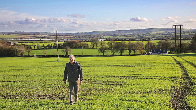 84% of farmers interested in applying for ELM schemes