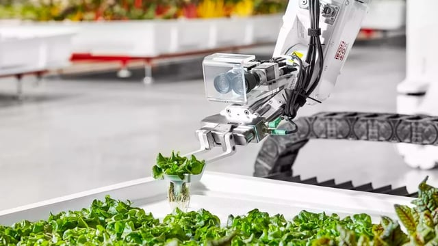 What new schemes will be introduced by the ‘Path to Sustainable Farming’?