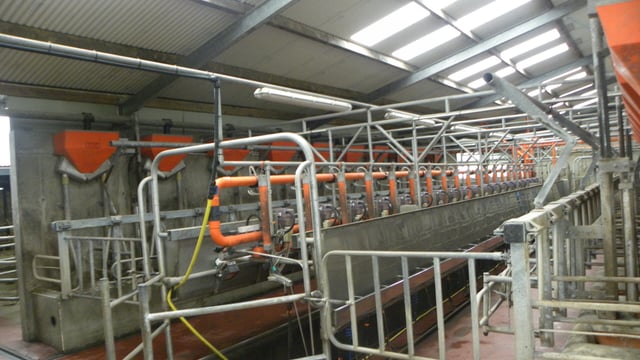 How did Northern Irish milk prices fare in December?