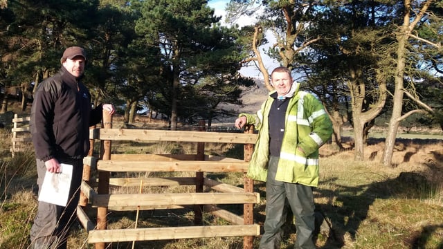 Woodland Trust helps tree restoration on farmland near Kilkeel