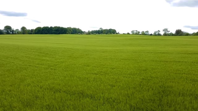 Agricultural tenancy: Advice on entering environmental agreements issued