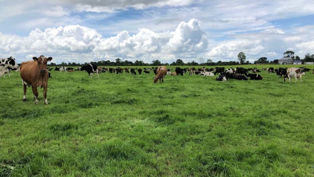 Time to put a plan in place for the breeding season…if you haven’t done so already