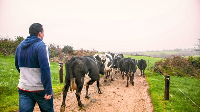 Abbott and Batters debate Brexit and future of UK agriculture in OFC webinar