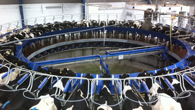 Northern Irish milk prices: A round-up for May