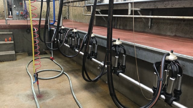 Analysis: European dairy markets continue to trend higher