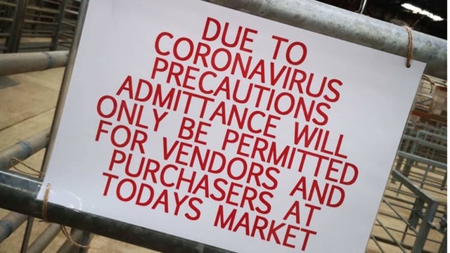 LAA welcomes ease of Covid-19 restrictions but encourages farmers to exercise caution