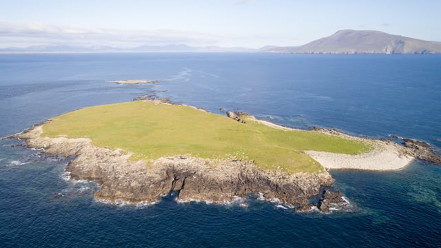 Social distancing the wild way: Private 55ac island guiding at €3,500/ac to go for auction