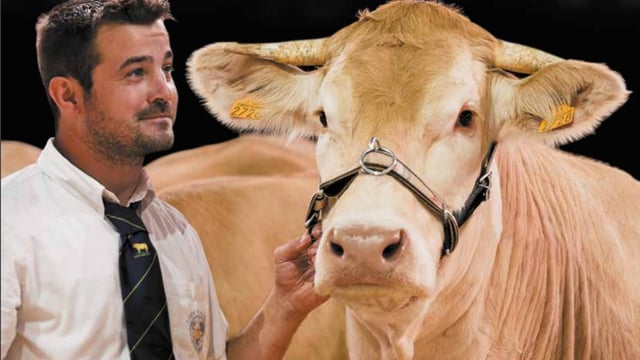 European livestock show gets green light from organisers
