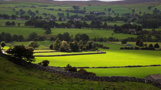 Labour Party must make food and farming priorities clear – TFA