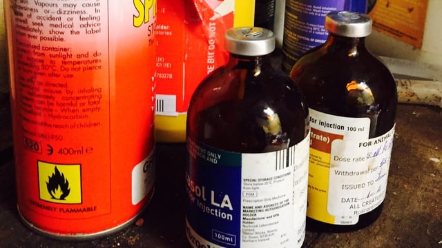 2 hospitalised from ‘taking animal medication’ after vet surgery break-in