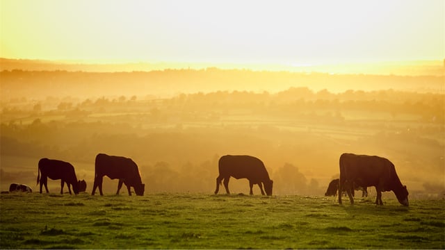 UKHSA issues heat-health alert for 3 UK regions