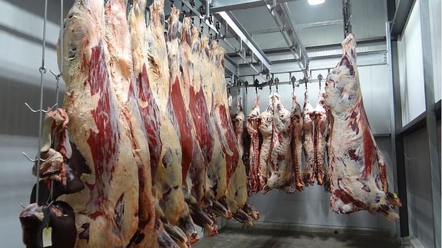 Calls for German meat plants to work longer hours to aid backlog