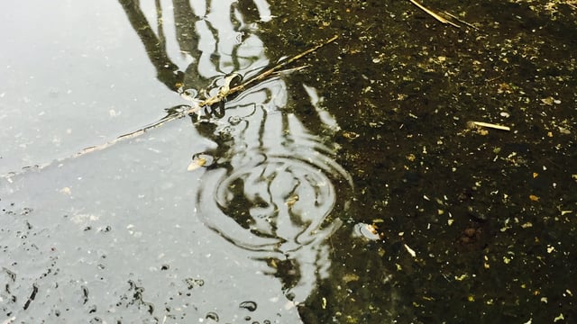 Weekend weather: Unsettled conditions with wind and rain