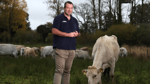 ‘Badger culling delivers reductions in bovine TB of up to 66%’ – NFU