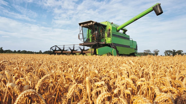 Greening requirements to be scrapped in NI from 2021