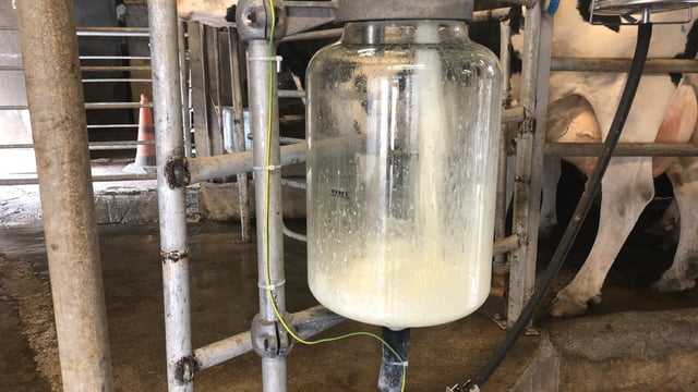 UFU and Holstein NI join forces on call for change to milk pricing
