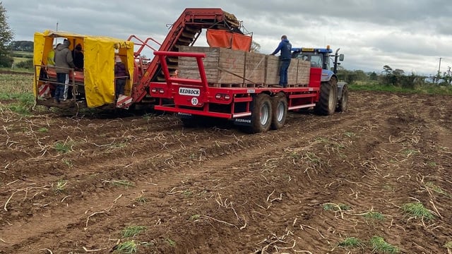 ‘Attention to detail is important’ as potato harvest gets into full swing