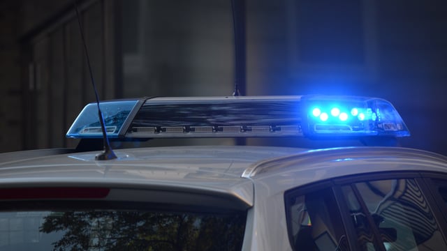 Wheel flies off livestock trailer and kills dog walker in Devon