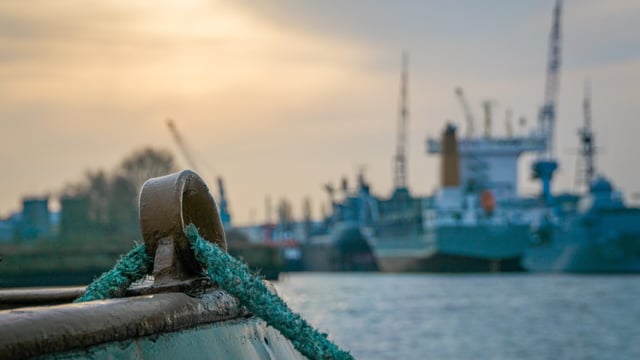 Search underway for 42 crew after cattle ship capsizes in East China Sea