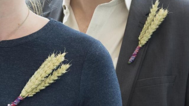 2020 Back British Farming Day to highlight value of UK agriculture
