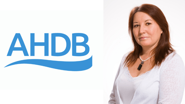 AHDB CEO Jane King to step down from role
