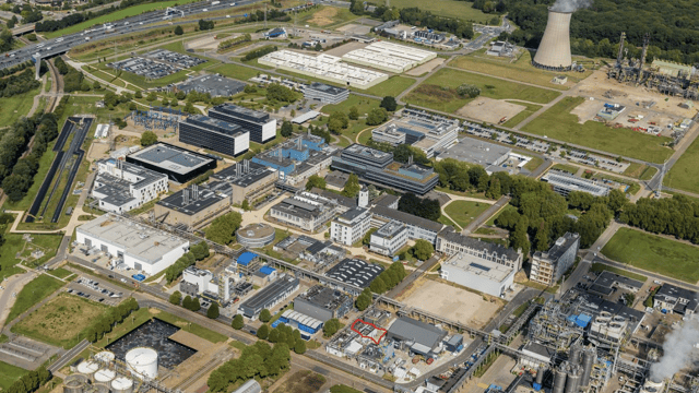 Animal feed made from recycled carbon secures £2.2 million funding