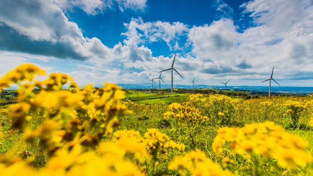 NIRIG rebrands to RenewableNI to ‘reflect group’s growing ambitions’