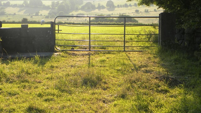 Appeal for info after trespasser punches landowner
