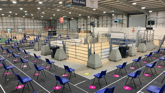 Spotted Dutch crosses carry the day at RUAS lamb championship