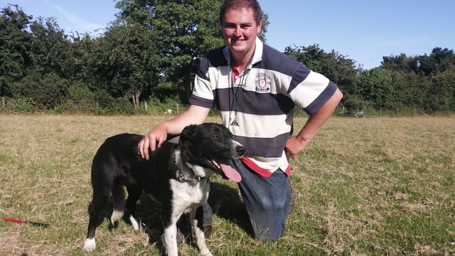 New booklet launched to offer advice on recording pedigree flocks