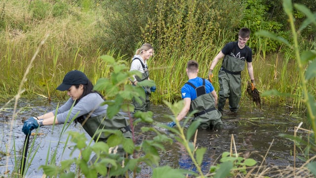 RSPB NI launches 5-point ‘Green Recovery Plan’ for Covid-19