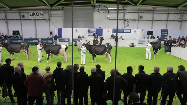 Winter Fair Online to reveal first ‘Champion of the Decade’