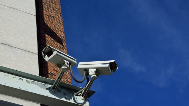 BVA welcomes legislation for compulsory CCTV use in abattoirs