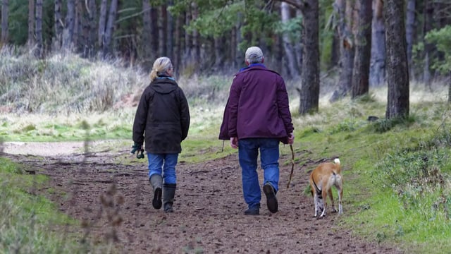 FLS calls for forest visitors to be responsible this summer