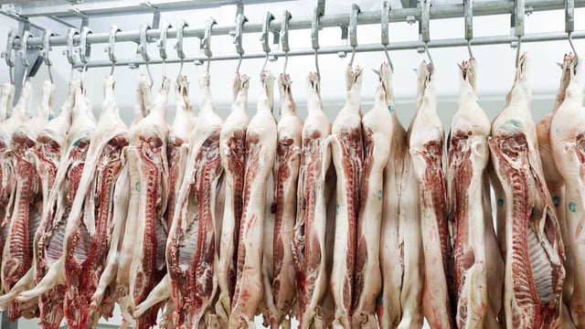 Standard pig price ‘inches up’ again – NPA