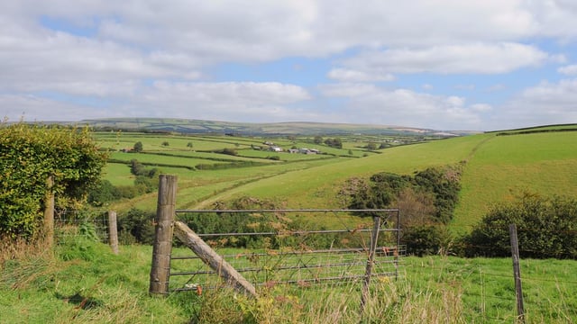 Minister Poots launches NI’s first-ever Clean Air Strategy