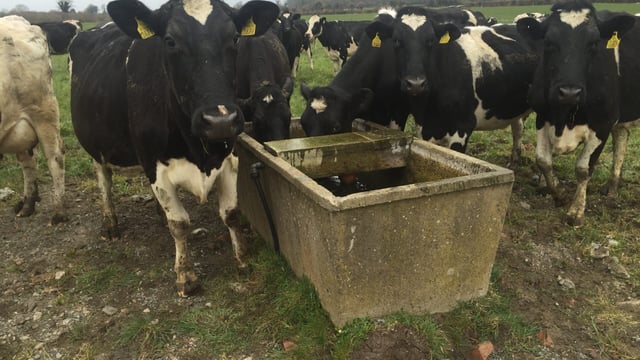 Water regulations will ‘kill off’ Welsh family dairy farms – FUW