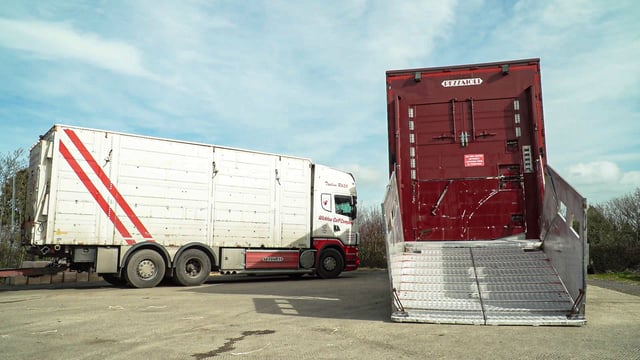 Safe transport is ‘fundamental’ to Scottish livestock industry – NFU Scotland