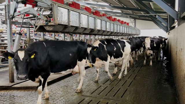Rebuilding agriculture’s reputation: Now’s time to get back on the front foot