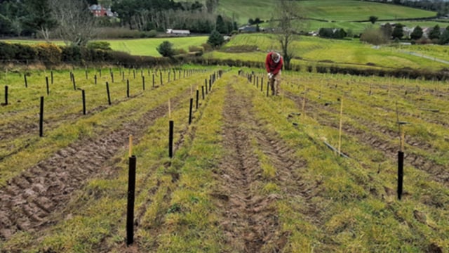 Land reform discussion ‘not reflective’ of modern land ownership and usage – SLE