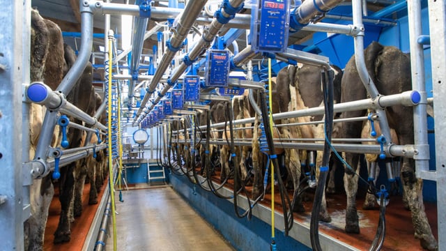 Nominations open for Dairy Industry Woman of the Year Award
