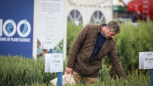 Cereals 2021 sets target to return as a physical show in June