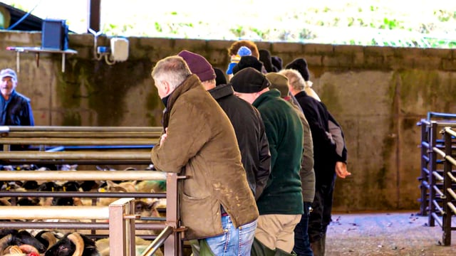 NI officials warn Westminster allocation could stall future rural development schemes